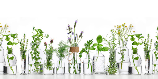 Forget Me Not Organic Skincare