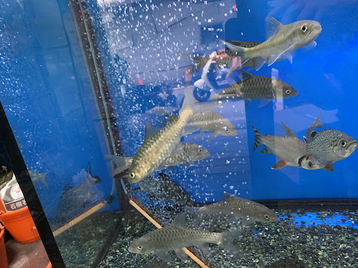 [利豐水族 水族店的外部或內部照片]