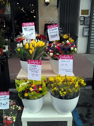 Photo n°31 de A Fleurs de Pot à Saint-Marcellin (Fleuriste)