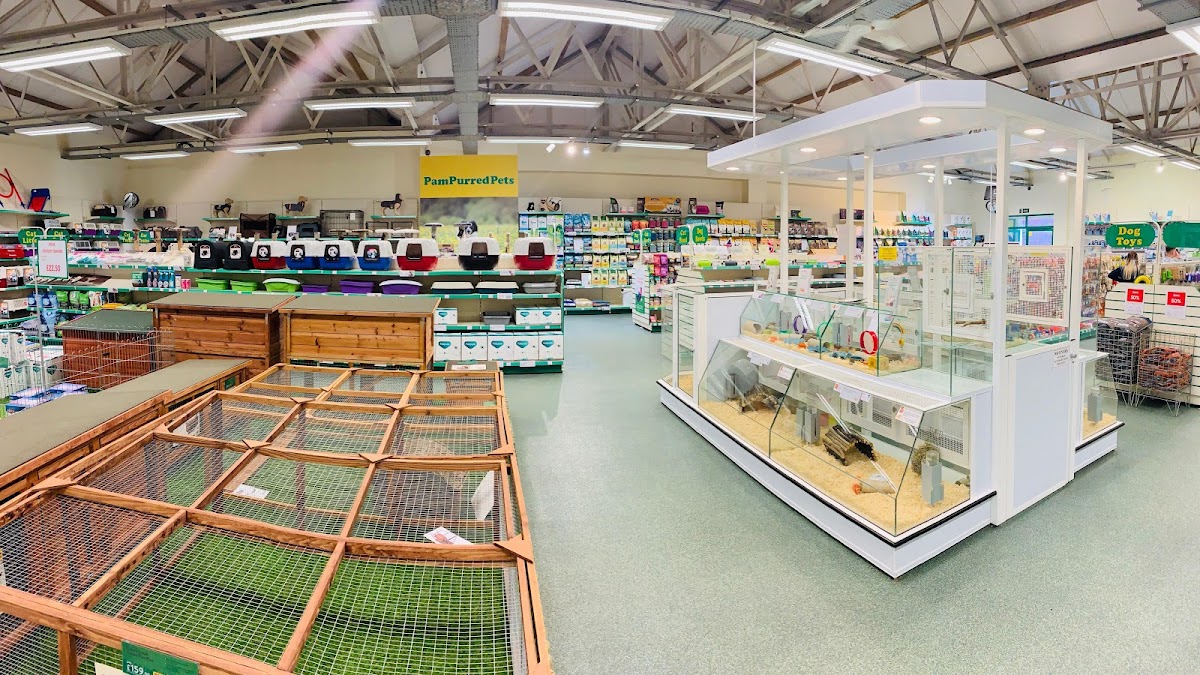 PamPurredPets Trowbridge interior