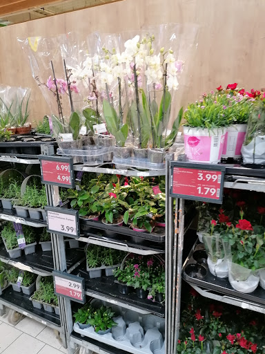 Kaufland Cottbus-Madlow - Thumbnail