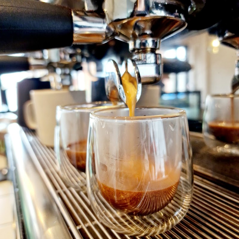 Sloth Coffee Brynmill photo 2