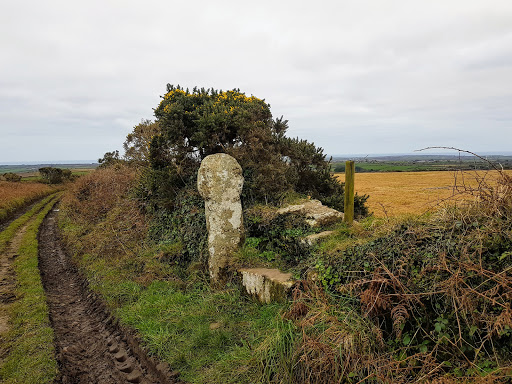 Brane Cross - Visual