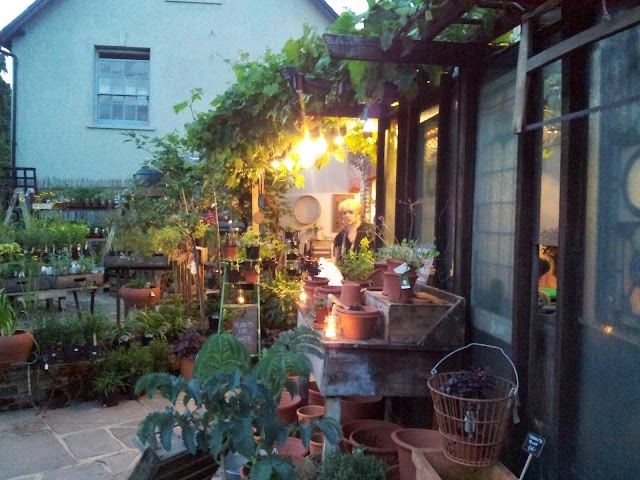 Alexandra Nurseries