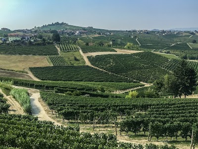 Barbaresco - Cortese Giuseppe