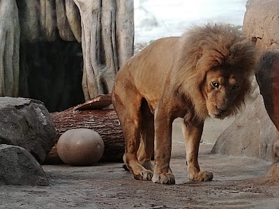 Milwaukee County Zoo