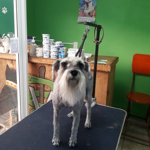 Veterinaria MEINVET Medicina Integral Veterinaria Estética Canina