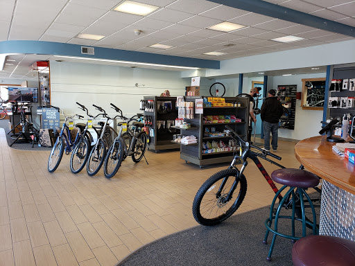 Vitesse Cycle Shop Gallery - United States