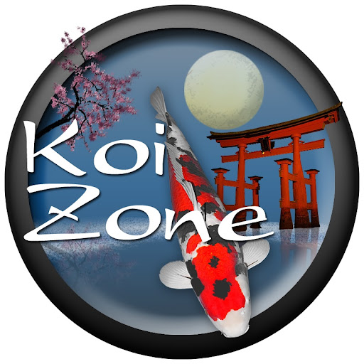 Koi Zone - Visual
