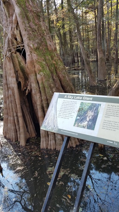 Sky Lake Boardwalk