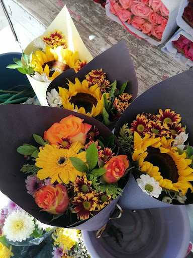 Venta de rosas - Visual