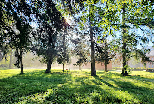 Wiese am Fasanengarten - Thumbnail