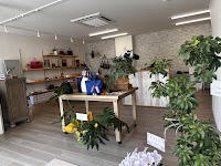 Maciolla leather factory