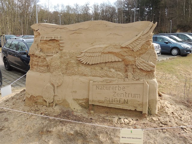 Baumwipfelpfad Prora im Naturerbe Zentrum Rügen