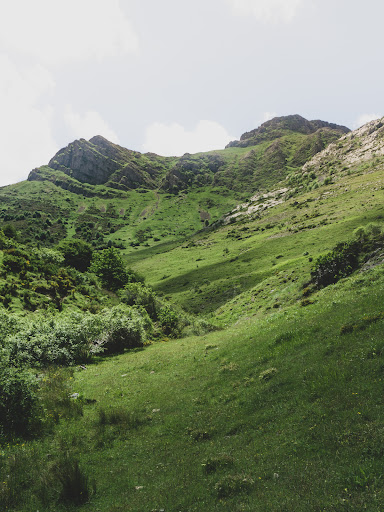 Pico Roscas - Visual