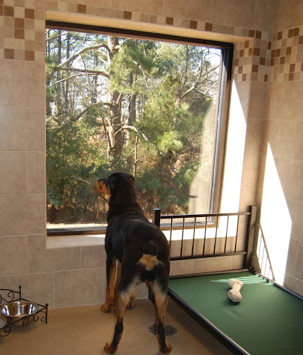 West Madison Veterinary Hospital and Pet Resort Gallery - United States