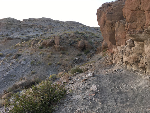Area-X Trailhead - Thumbnail