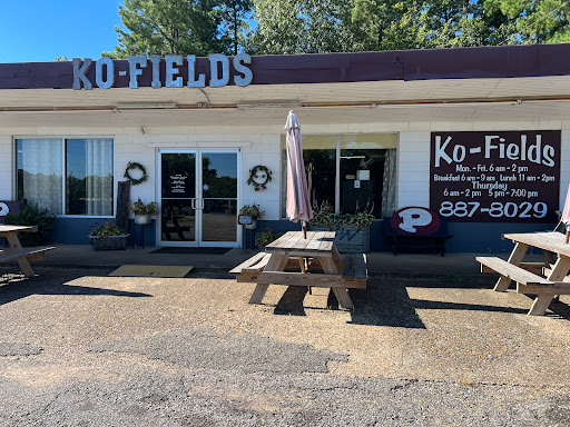 Ko-Fields - Visual