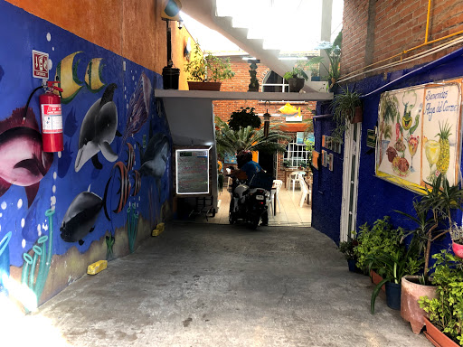Mariscos Playa del Carmen - Thumbnail