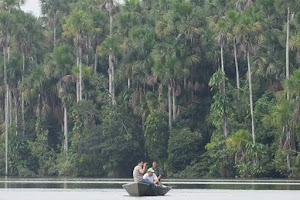 Green house Tambopata 8