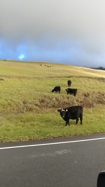 Barns of Hawaii