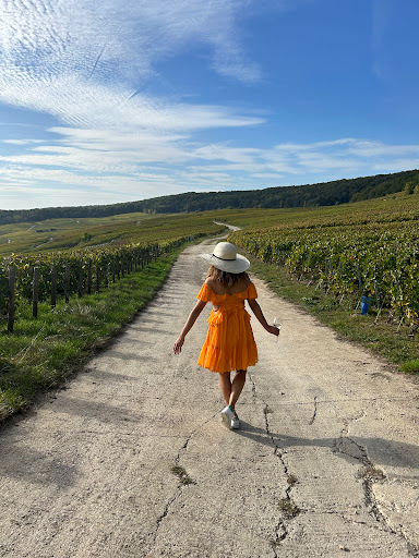 Beauté Champagne - Thumbnail