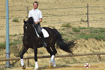Ecurie Francjoie à Villarzel-du-Razès