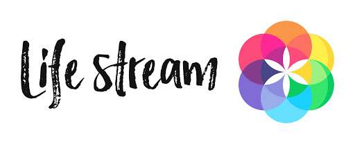 Life Stream Systems LLC - Thumbnail