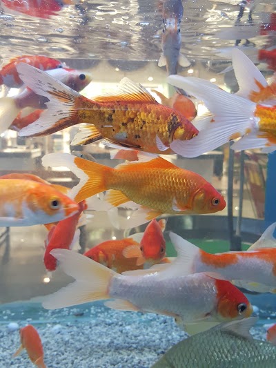 Photos of Aquarium Lives Centre