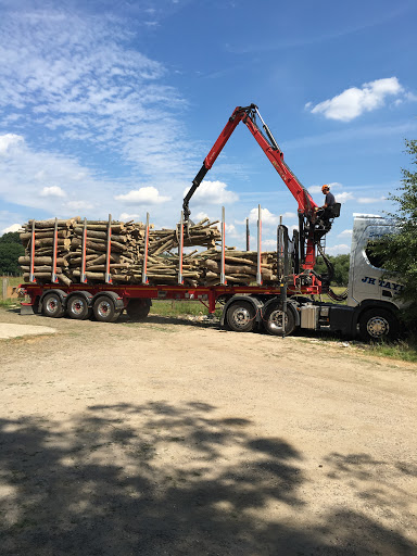 Logs and Lawns at Grasshoppers - Thumbnail
