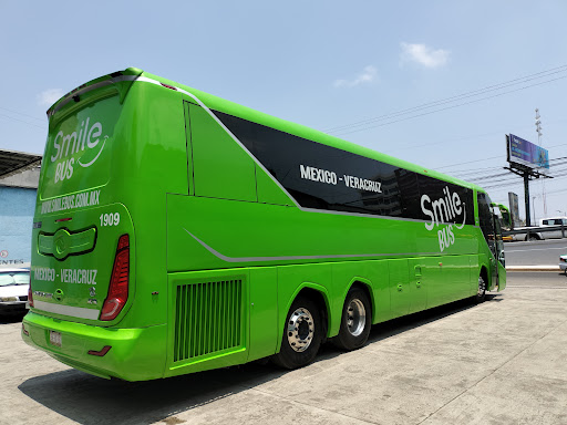 Smile Bus - Thumbnail