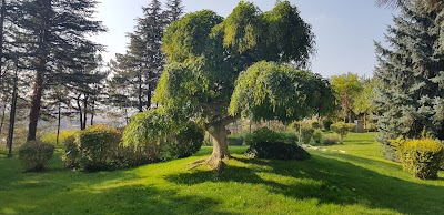 Japanese Garden, Anadolu University