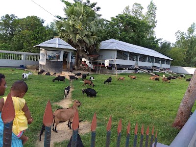 Photos of JAKAS Foundation Head Office
