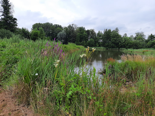 Arcen, Lingsforterweg - Thumbnail