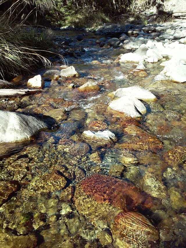 Lake Rotoiti