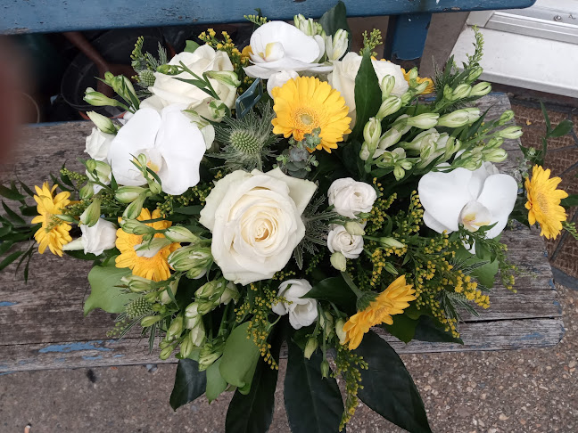 Evergreen & Outrageous - Florist
