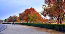 Kachnar Park islamabad