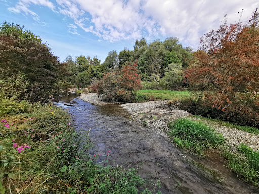 Wildobst-Lehrpfad - Thumbnail