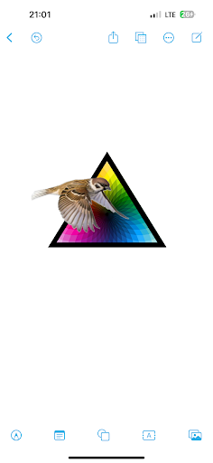 Sparrows Painting - Dover