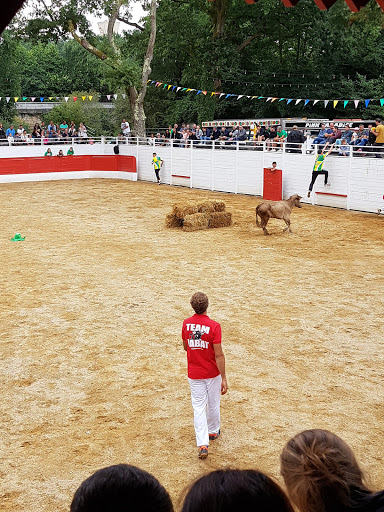 Arènes à Bégaar - Thumbnail