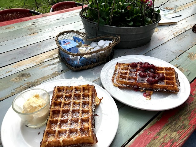 Der Garten