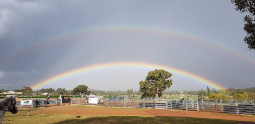Mansfield Pony Club - Thumbnail
