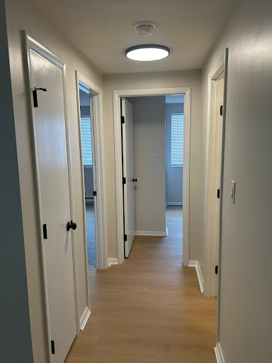 N.L Painting and Other Services LLC