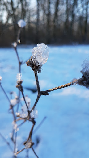 Domaine du Clos vert - Thumbnail