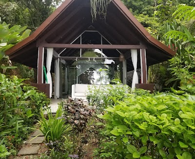 Photos of Oxygen Jungle Villas