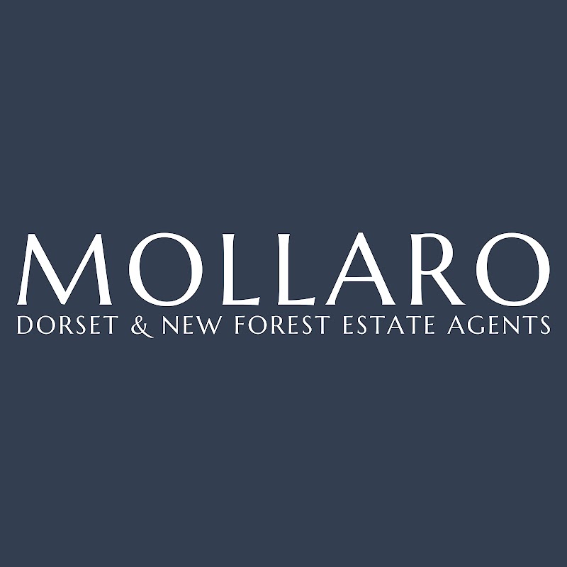 Mollaro - Dorset & New Forest Estate Agents photo 2