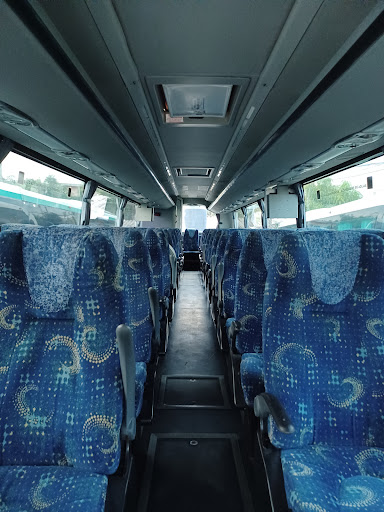Autobuses GFP - Thumbnail