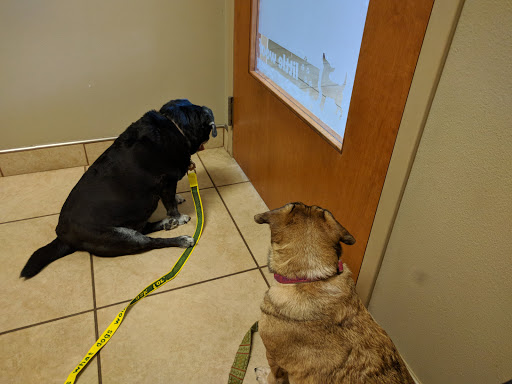 Nixa Animal Hospital - Thumbnail