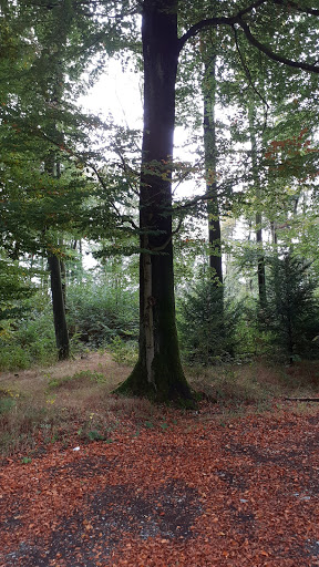 Unterstand "Reiterwiese" - Thumbnail