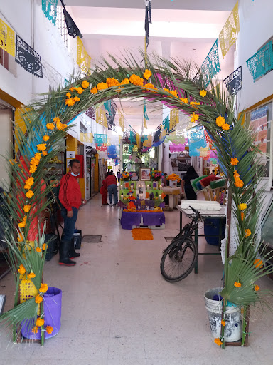 Camilo Arriaga market - Thumbnail